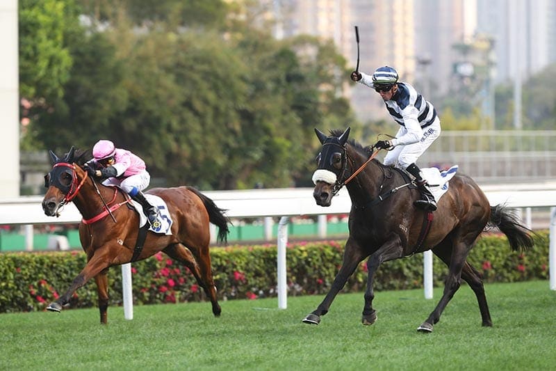 Harmony Hero wins at Sha Tin