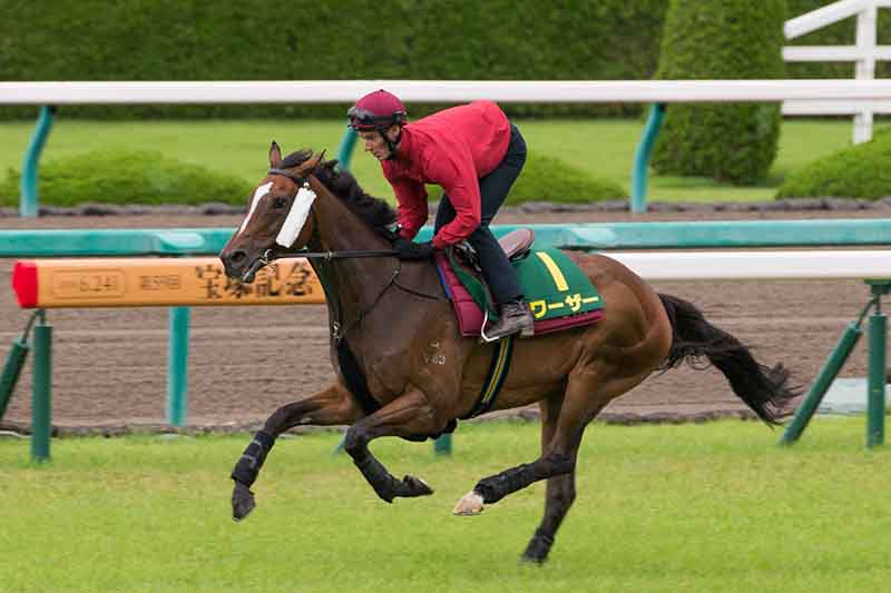 Werther in Japan